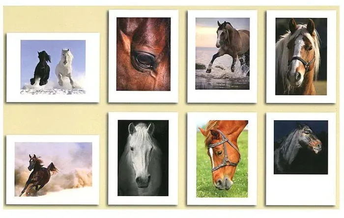 Постеры с изображениями лошадей