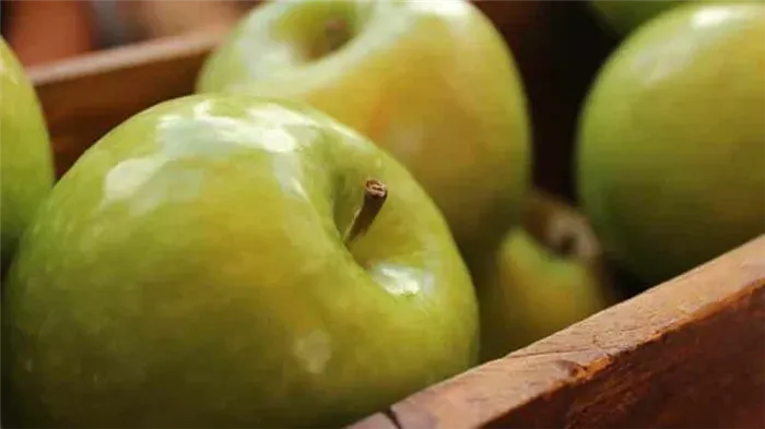 Как хранить зимой яблоки свежими в домашних условиях