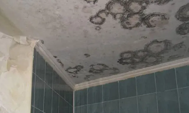 потолок из панелей ПВХ в ванной