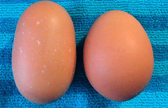 Яйца разной формы