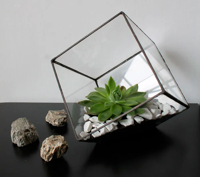 На фото изображено - Флорариум - оазис в стекле, рис. Кубический крупноформатный флорариум