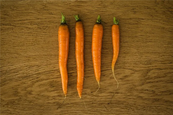 Зимнее хранение моркови