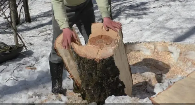 Заготовка древесины для топорища