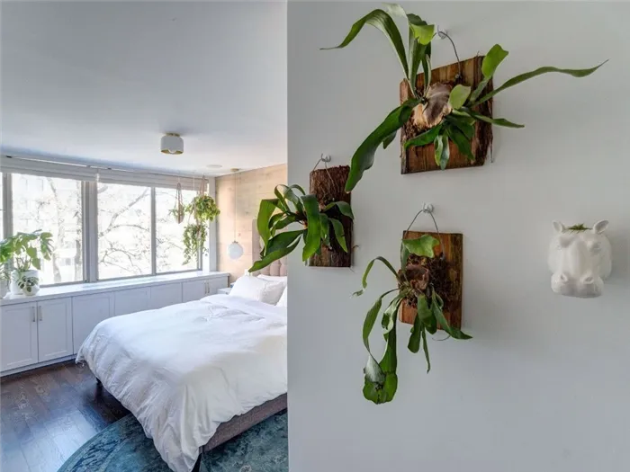 Спальня с растениями