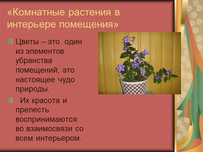 «Комнатные растения в интерьере помещения»Цветы – это один из элементов убра. 