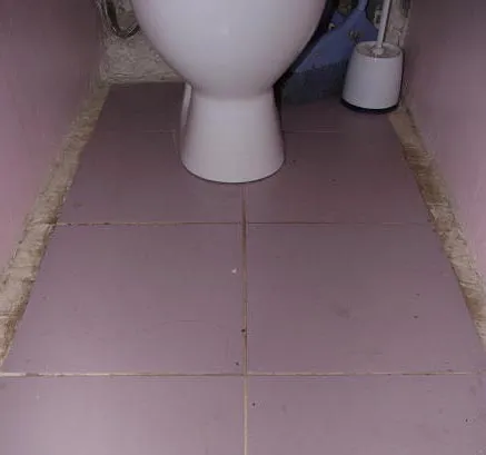 как очистить швы на полу в туалете