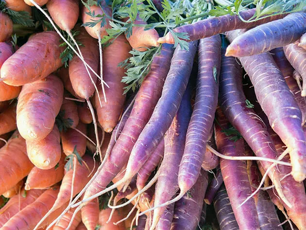 Оранжевая и фиолетовая морковь