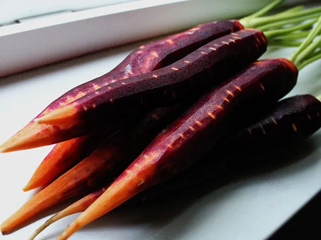 Оранжево-фиолетовая морковь