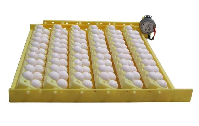 инкубатор для яиц автоматический режим инкубации