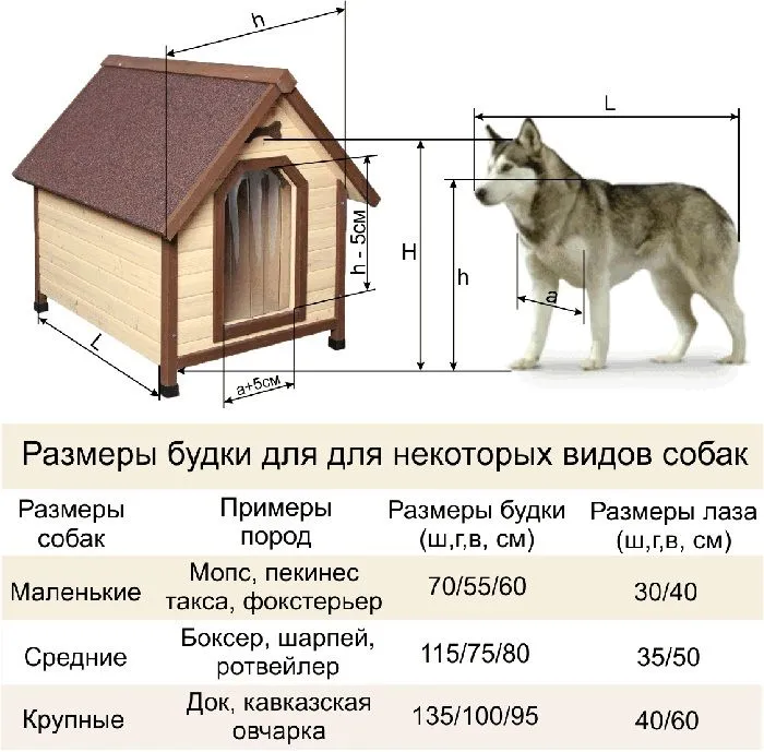 Размеры будки для собаки зависят от породных данных. Учитывая эти показатели, проектируют не только внешнюю часть постройки, но и делают скидку на утеплитель — он украдёт немного пространства