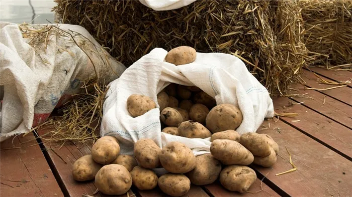 Методы хранения картофеля в домашних условиях