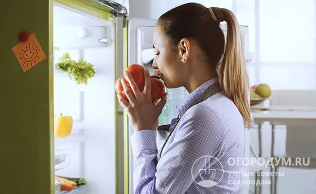 Если хранить помидоры в холодильнике дольше 7-10 дней, они потеряют первоначальный вкус и аромат