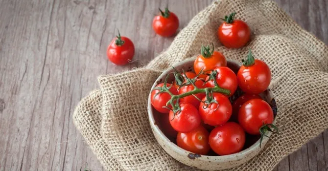 Как сохранить помидоры дома