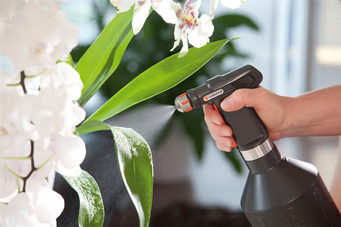 Скорая помощь для комнатных растений — янтарная кислота: как использовать в уходе за цветами, чтобы не навредить