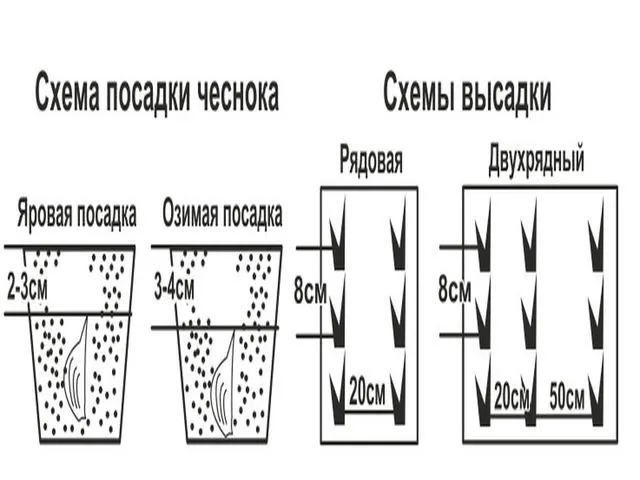 схемы посадки