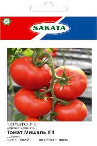 Мишель F1 индетерминантные сорта томатов