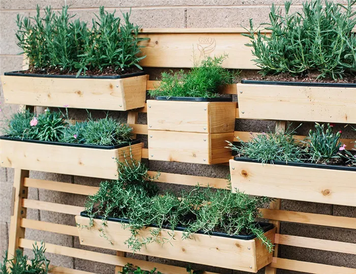 Попробуйте прикрутить к стене дома или забору деревянные ящики для зелени, овощей и ягод