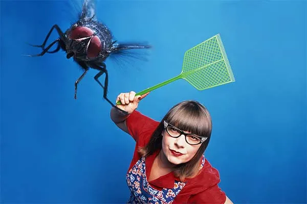 Как поймать муху в квартире