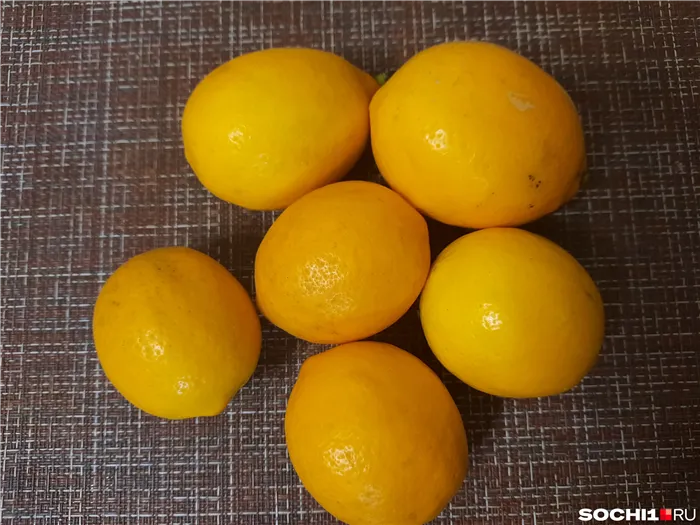 Абхазские и сочинские лимоны более яркие