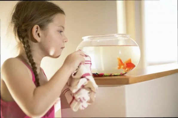 Как мыть аквариум?