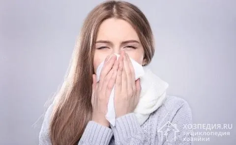 Аллергия – последствие, к которому может привести постоянный контакт с пылью