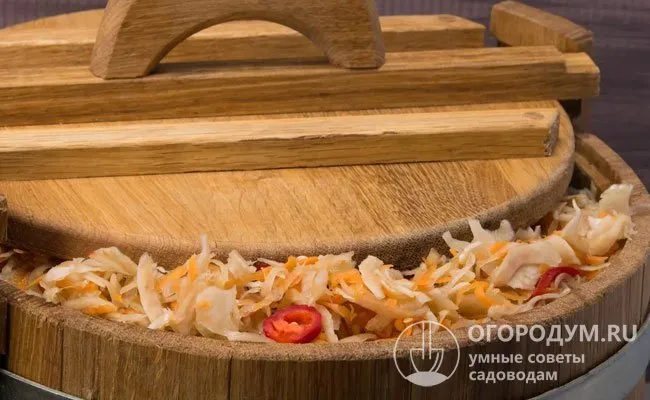 Квашеная капустка – универсальная закуска, традиционно используется для начинки пирогов, приготовления щей