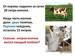 Как правильно доить корову