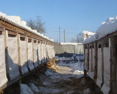 Советы по оборудованию зимних клеток для кроликов - компания Панкроль