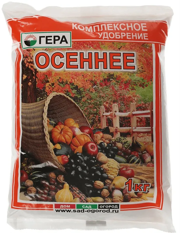 Гера осеннее