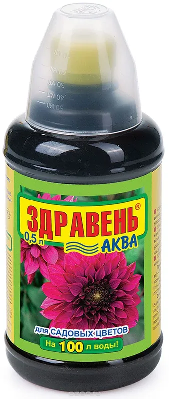 Здравень