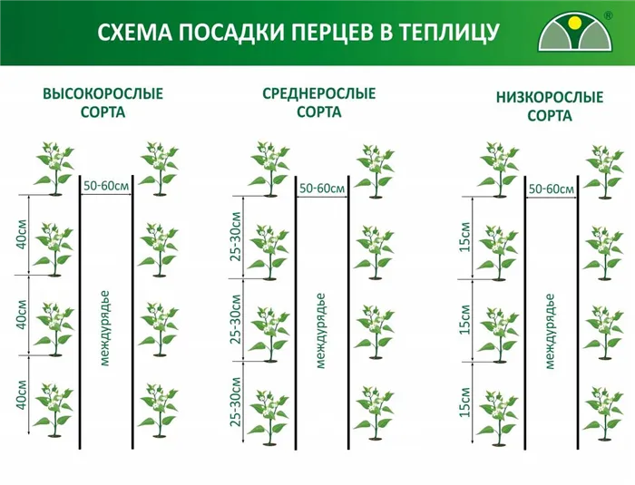 Схема посадки пецев