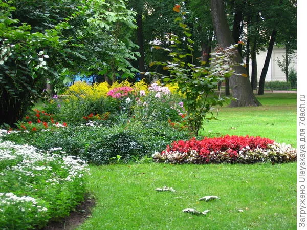 Цветник в сентябре, фото Антона Папкова