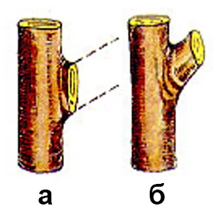 obrezka 1