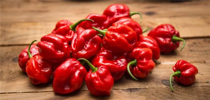 Habanero Red Savina