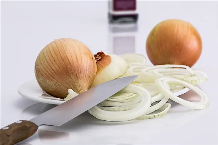 onion-647525_1920.jpg