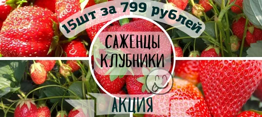 клубника960х960, копия (1).png