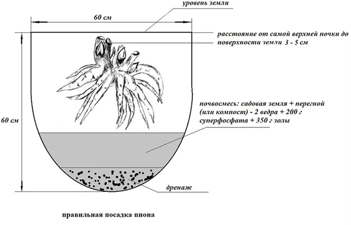 1703_9.jpg