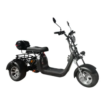 Электротрицикл SmartBalance TRIKE X11