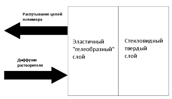 Структура полимера под воздействием растворителя