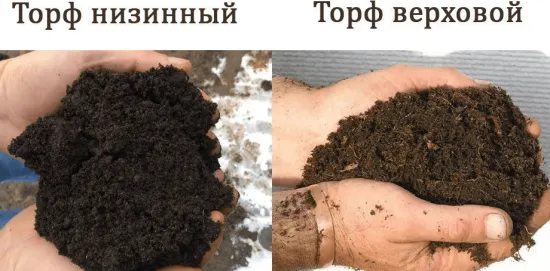 Виды торфа