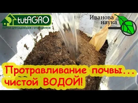 Как протравить почву безопасно и бесплатно?