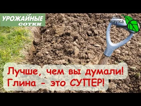 Как всего один стакан раскроет потенциал тяжелой глинистой почвы!