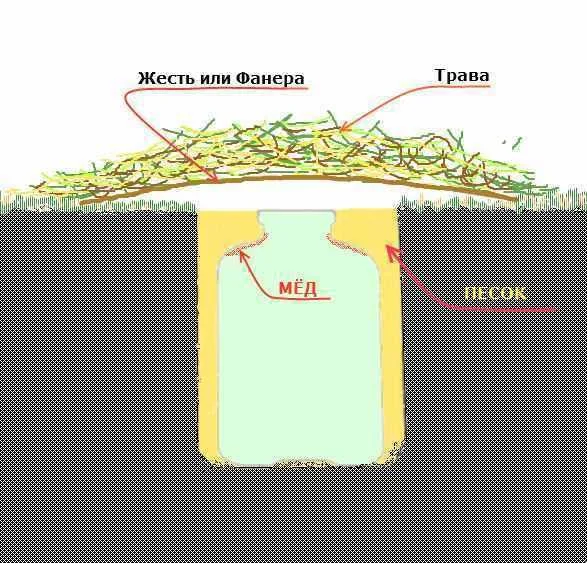 Медовая ловушка для медведки. Фото с сайта sadvin.ru/wp-content