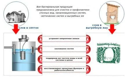 Бактерии для септиков и выгребных ям