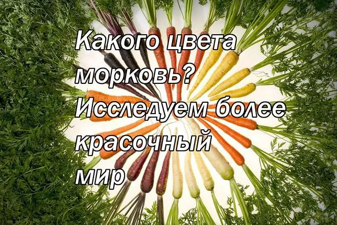 Какого цвета морковь? Исследуем более красочный мир