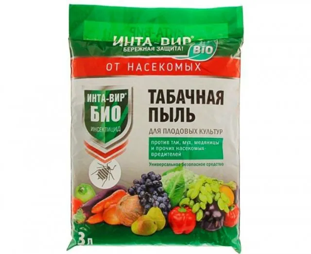 Важно помнить, что табачной пылью обрабатывают не сам лук, а междурядья и борозды. Можно использовать её в чистом виде, а можно смешать с песком в пропорции 1:1