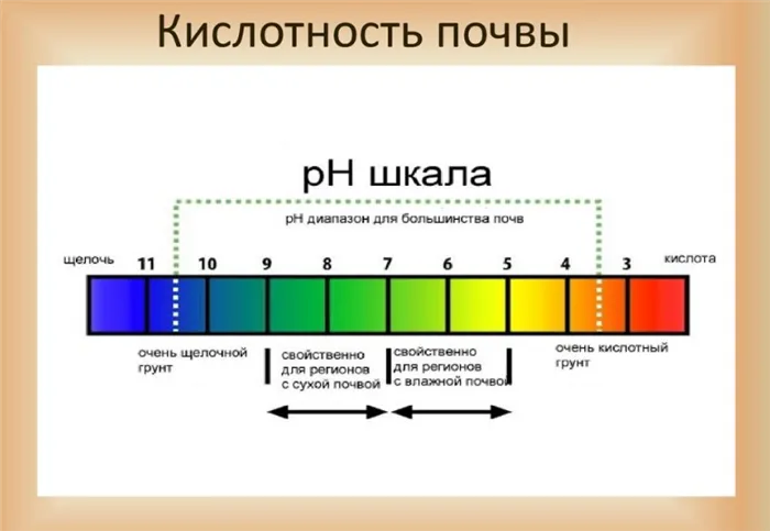 кислотность