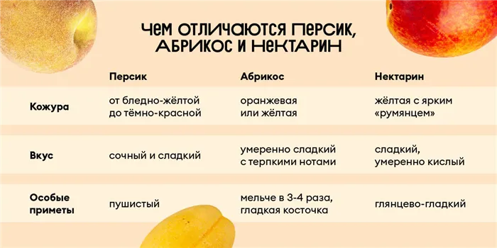 Родина персика — Северный Китай