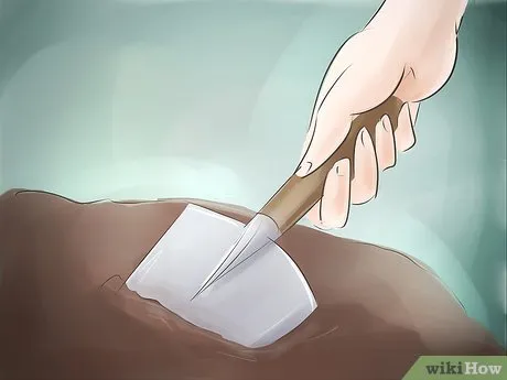 Step 7 Выкопайте яму для юкки.