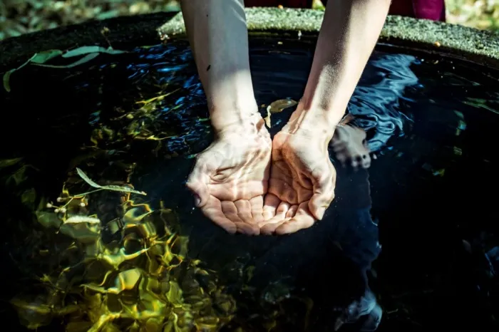 Следует визуально оценить прозрачность воды / Фото: msulab.ru